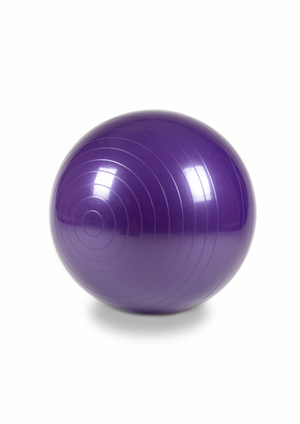 Therapy Balls